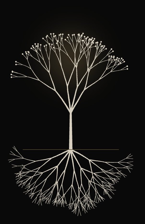 A pale tree whose roots below the ground are as large as its branches above